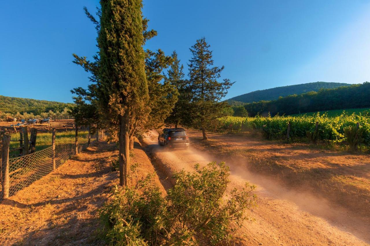 La Cerreta - Terme Di Sassetta Villa Buitenkant foto