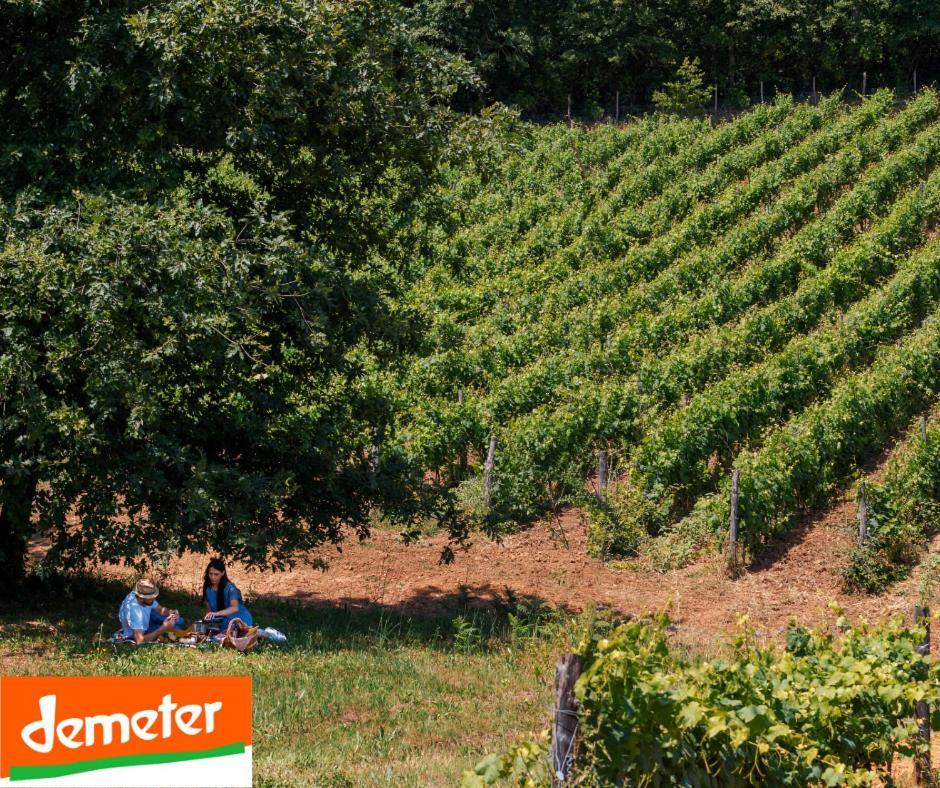 La Cerreta - Terme Di Sassetta Villa Buitenkant foto