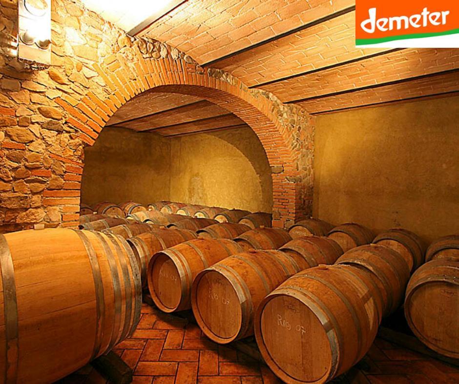 La Cerreta - Terme Di Sassetta Villa Buitenkant foto