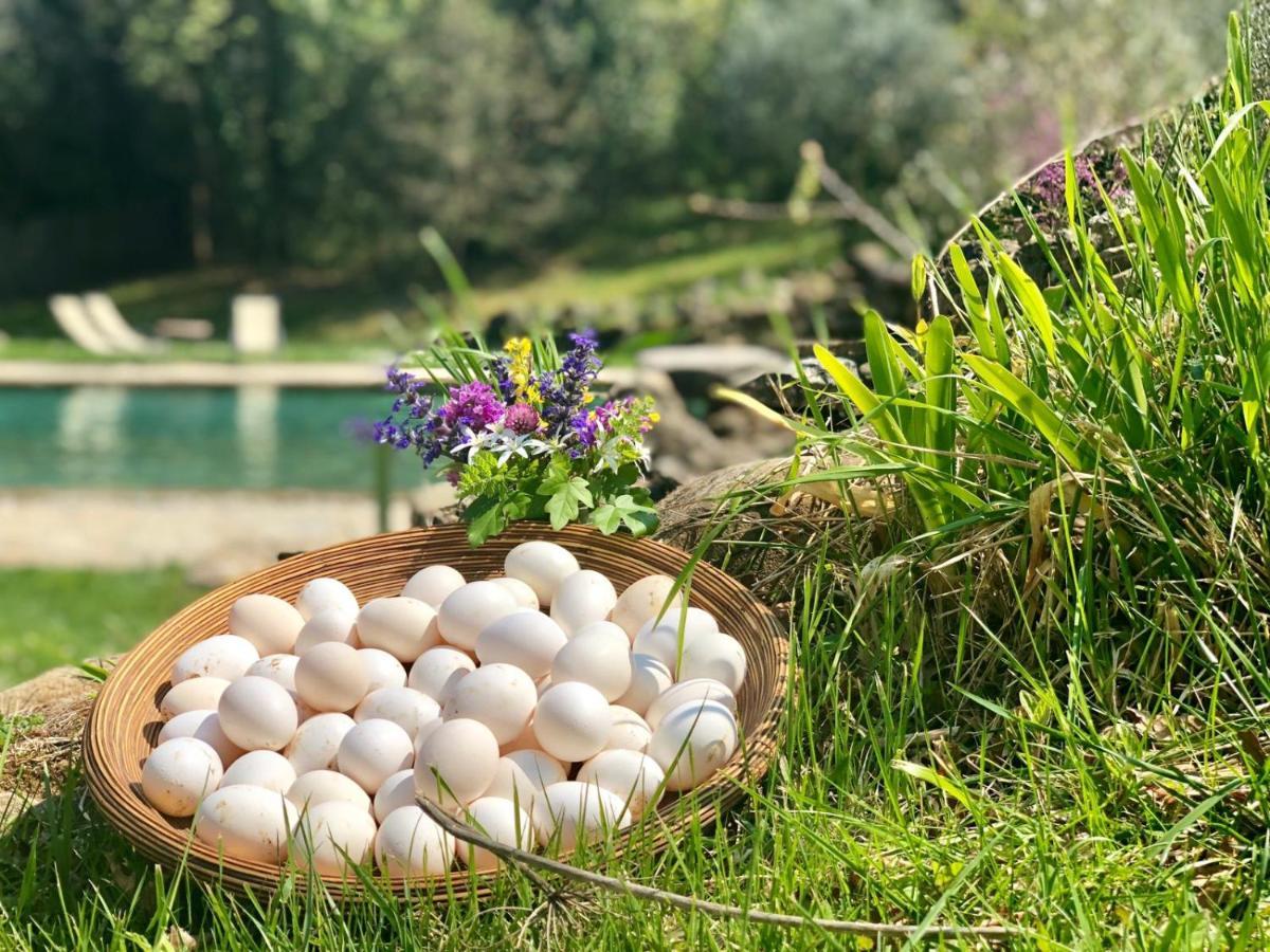 La Cerreta - Terme Di Sassetta Villa Buitenkant foto